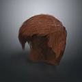 Human Scalp Brown Hair Model With Natural Texture And Realistic Appearance