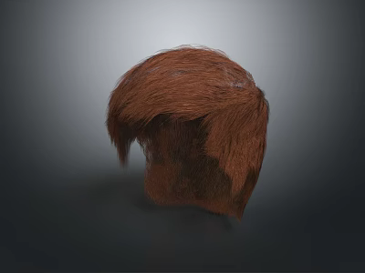 Human Scalp Brown Hair Model With Natural Texture And Realistic Appearance 3d model