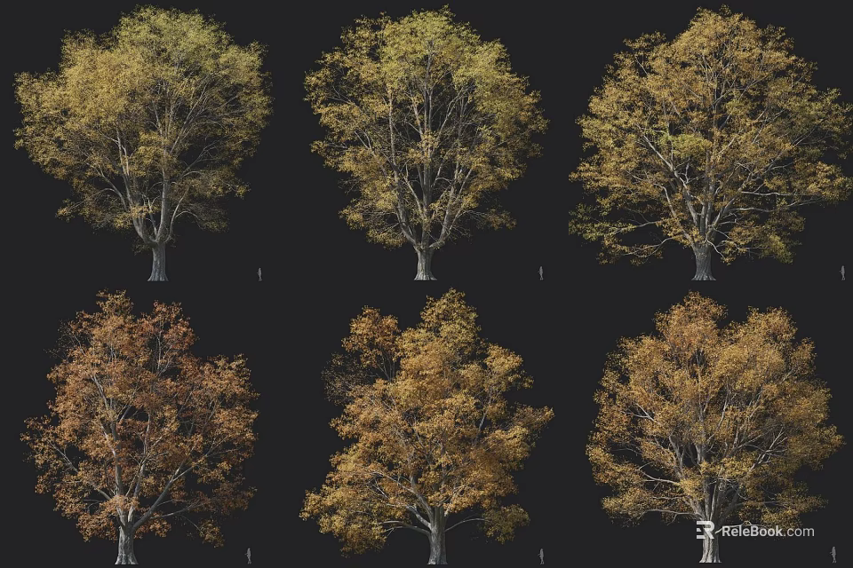 Various Arbor Forms With Autumn Yellow Brown Leaves For Landscape Design 3d model 
