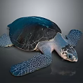 Dark Blue Sea Turtle With Textured Shell And Webbed Flippers On Gray Surface