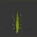 Green Grasshopper In Natural Pose With Detailed Body Long Antennae And Shiny Surface