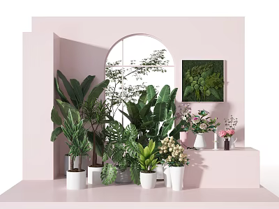 Bonsai Potted Plants With Various Green Flowering Plants In White Pots On Pink Shelves 3d model