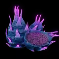 Purple Glowing Dragon Fruit Whole and Sliced With Black Seeds On Black Background