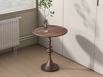 Round Wooden Side Table with Decorative Pedestal and Green Plant in Room Corner 3d model