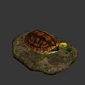 Reptile Turtle With Detailed Shell Resting On Mossy Rock With Small Grass 3d model