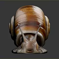 Glossy brown snail with orange striped shell and smooth body on dark reflective background