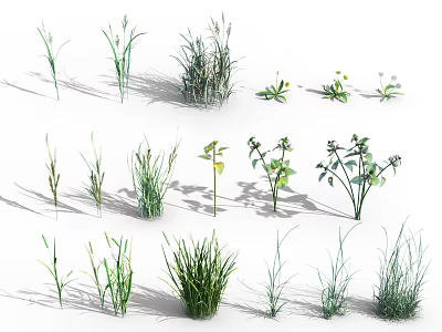 Various Types of Garden Shrubs with Green Foliage and Natural Growth Patterns 3d model