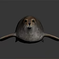 Realistic brown seal with smooth fur and whiskers lying on dark surface