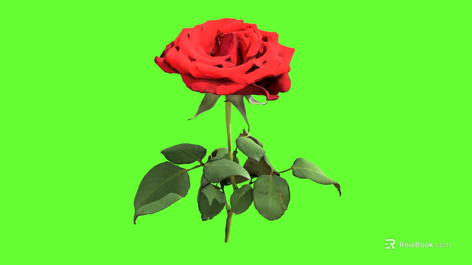 Vibrant Red Rose Plant With Green Leaves And Stem On Green Background 3d model 