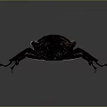 Detailed Maroon Rhinoceros Beetle With Large Curved Horn On Dark Background