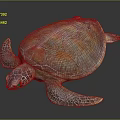 Colorful Sea Turtle With Vibrant Carapace And Detailed Flipper Texture