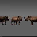 Three Lifelike Reptile Models Standing In Line On Gray Surface
