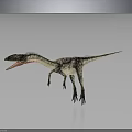 3D Dinosaur Model With Open Mouth Realistic Skin Texture And Gray Background Reflection 3d model