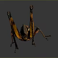 grasshopper insect cartoon locust animation locust anime locust anime game character 3d model