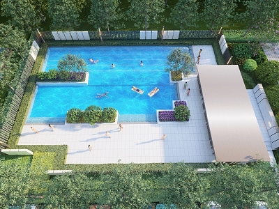 Modern Swimming Pool model