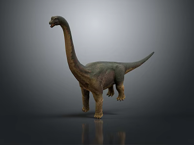 Brachiosaurus Dinosaur Model Featuring Long Neck Greenish Brown Body Standing on Gray Surface 3d model