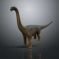 Brachiosaurus Dinosaur Model Featuring Long Neck Greenish Brown Body Standing on Gray Surface