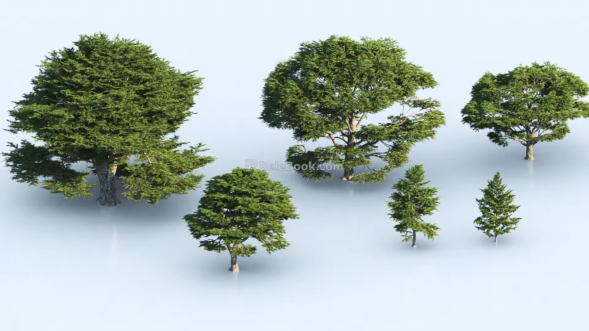 New Chinese Style Big Tree Model Tree 3d model