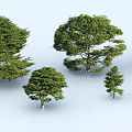 New Chinese Style Big Tree Model Tree 3d model