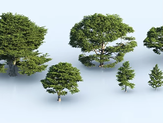 New Chinese Style Big Tree Model Tree 3d model
