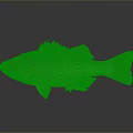 Brownish Spotted Fish With Scales Fins Large Eyes And Reflective Surface On Gray Background