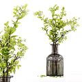Decorative Ornament Set With Dark Glass Vases And Eucalyptus Greenery Home
