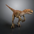 Realistic Velociraptor Dinosaur Model With Orange White Stripes Standing On Gray Background