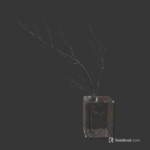 Decorative Transparent Square Glass Vase With Slender Branches Against Dark Background 3d model