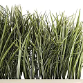 Potted Bonsai Plants With Grass Fern Varieties In Beige Textured Rectangular And Cylindrical Planters