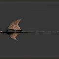 Realistic 3D Pterosaur Model With Red Green Wings And Long Tail In Flying Pose