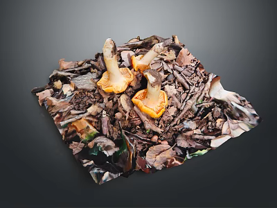 Fresh Orange Mushrooms Growing with Dried Leaves and Wood Chips 3d model