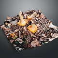 Fresh Orange Mushrooms Growing with Dried Leaves and Wood Chips