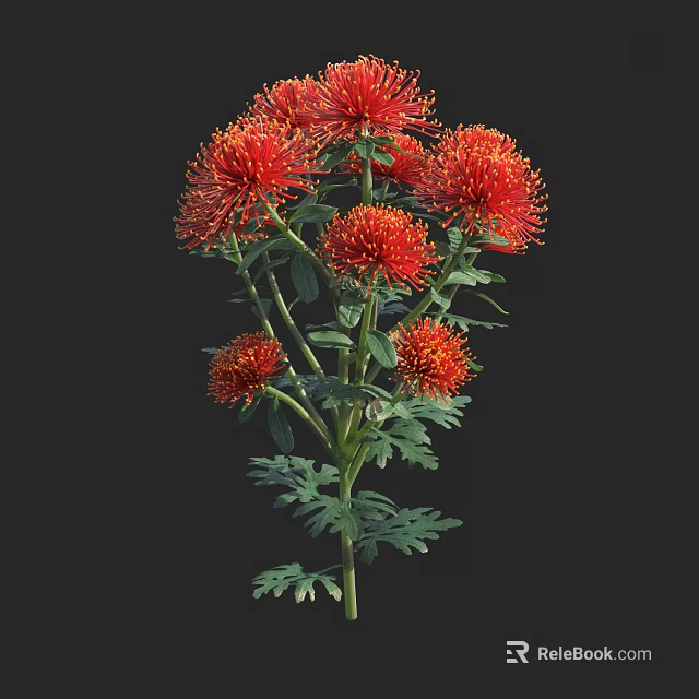 Vibrant Red Flowering Shrub With Fluffy Round Blooms And Green Leaves 3d model 