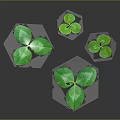 Fresh Green Clover Plants With Shiny Leaves And Slender Stems On Dark Background