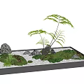 Miniature Garden Arrangement With Green Ferns Rocks Moss And White Pebbles