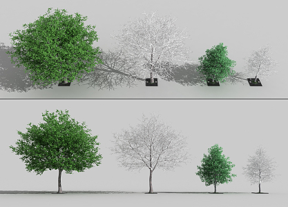 The Modern Tree 3d model