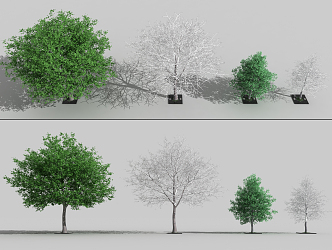 The Modern Tree 3d model