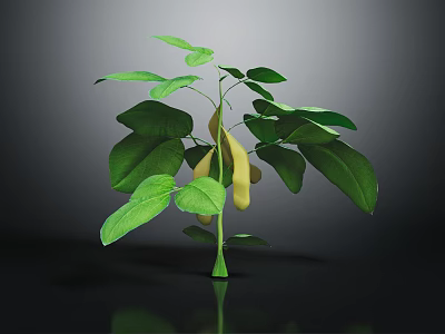 Fresh Green Plant With Vibrant Leaves And Yellow Pods On Dark Background 3d model