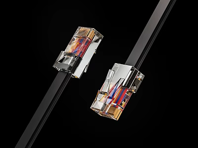 High Quality Ethernet Cable With Transparent RJ45 Connectors And Colorful Wires 3d model