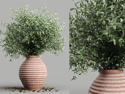 Bonsai Potted Plant with Lush Green Leaves in Striped Terracotta Pot for Home Decor 3d model
