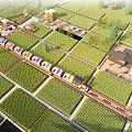 Rural Landscape With Neat Farmlands Train Tracks Colorful Train Carriages Farmhouses And Trees