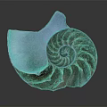 Elegant Nautilus Shell Decorative Ornament Set With Spiral Design And Natural Texture For Home Decor