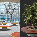 Outdoor Garden Decor Featuring Round Wooden Planter Green Palm Plant Pebble Accent And Gray Base