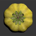 Fresh Yellow Striped Pumpkin With Green Leaves And Stem On White Background
