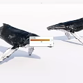 Two Black Whale Models Against White Background With Detailed Texture 3d model