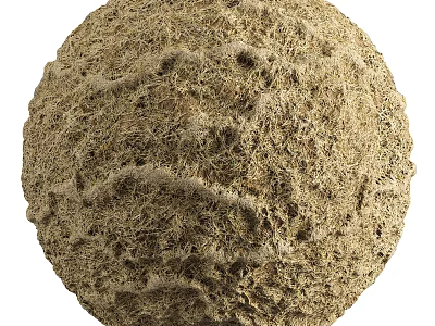 Natural Textured Round Component With Moss Covered Surface And Rough Exterior 3d model