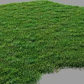 Lush Green Grass Lawn With Natural Texture And Vibrant Outdoor Appearance