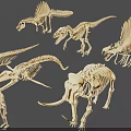 3D Skeleton Models Collection Featuring Dinosaur Mammoth And Human Fossil Replicas 3d model
