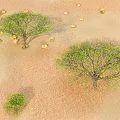 Vast Arid Desert Landscape With Rolling Sand Dunes And Sparse Trees Under Blue Sky