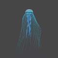 Glowing Blue Bioluminescent Jellyfish With Long Tentacles On Dark Background